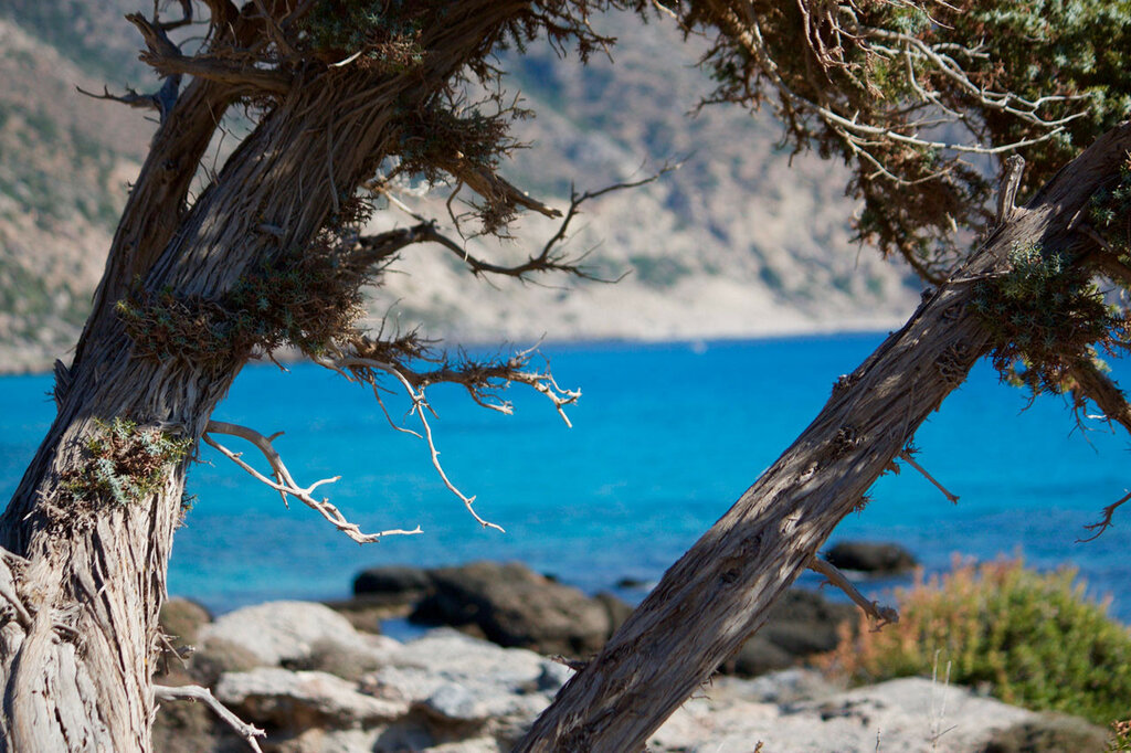 Крит в октябре: снорк, прогулки, немного ботаники. И о погоде
