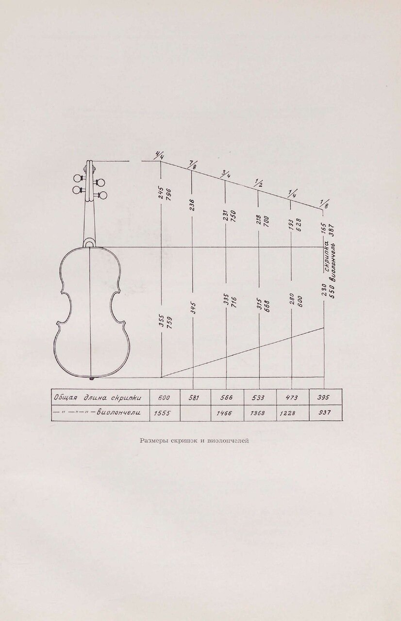 Размеры скрипки 4 4. Размеры скрипок. Скрипка 1/2 размер. Скрипка 1/4 размер в сантиметрах. Самый маленький размер скрипки.
