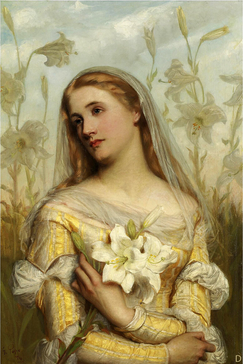 Lilies Gustav Pope