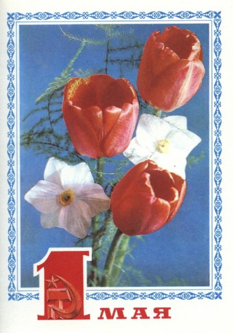 С праздником 1 мая! Фото Г. Костенко 1977 (14) открытки фото рисунки картинки поздравления