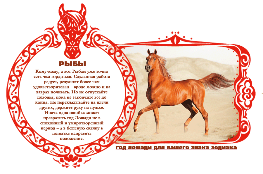 Гороскоп на апрель лошадь. Лошадь знак года. Год лошади гороскоп. Лошадь по годам. Лошадь по гороскопу характеристика.