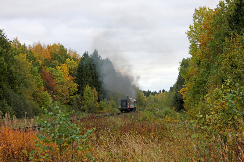 ДМ62-1796 с пригородным поездом 6983, Весьегонск — Сонково на перегоне Остолопово - Красный холм