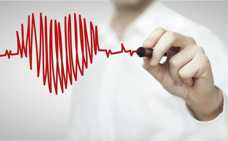 Чихание без сердцебиения - 33 факта о нашем сердце