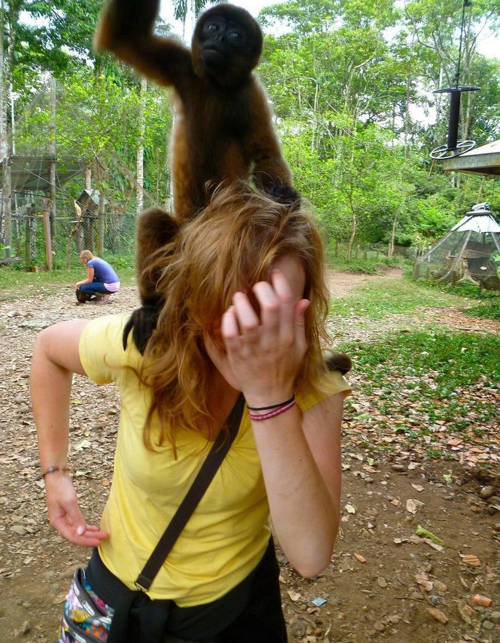 Укус обезьяны. Девушка и обезьяна. Девушка с обезьянкой на плече. Приколы девушки и животные.